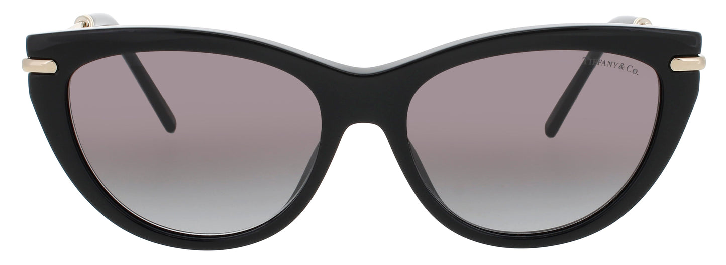 Tiffany & Co TF4253-80013C 55