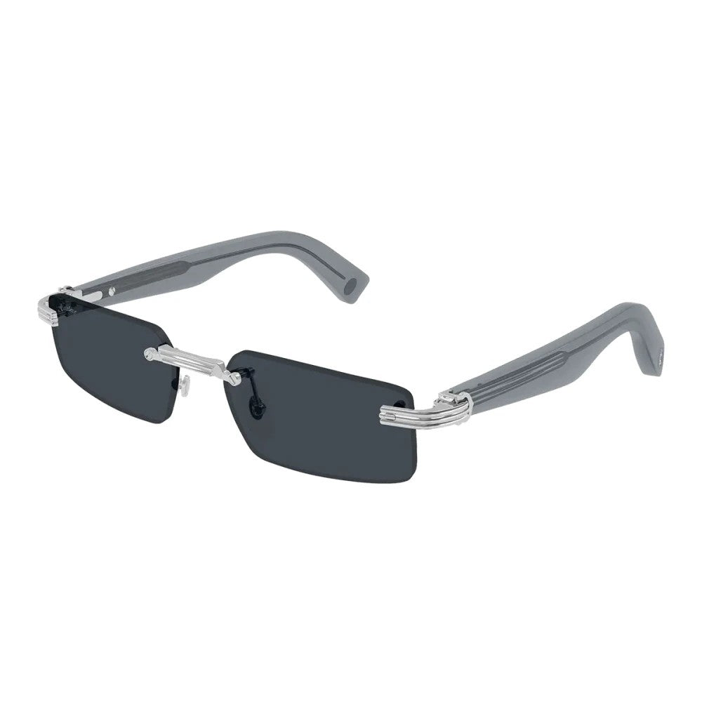 Cartier CT0537S-003 55mm