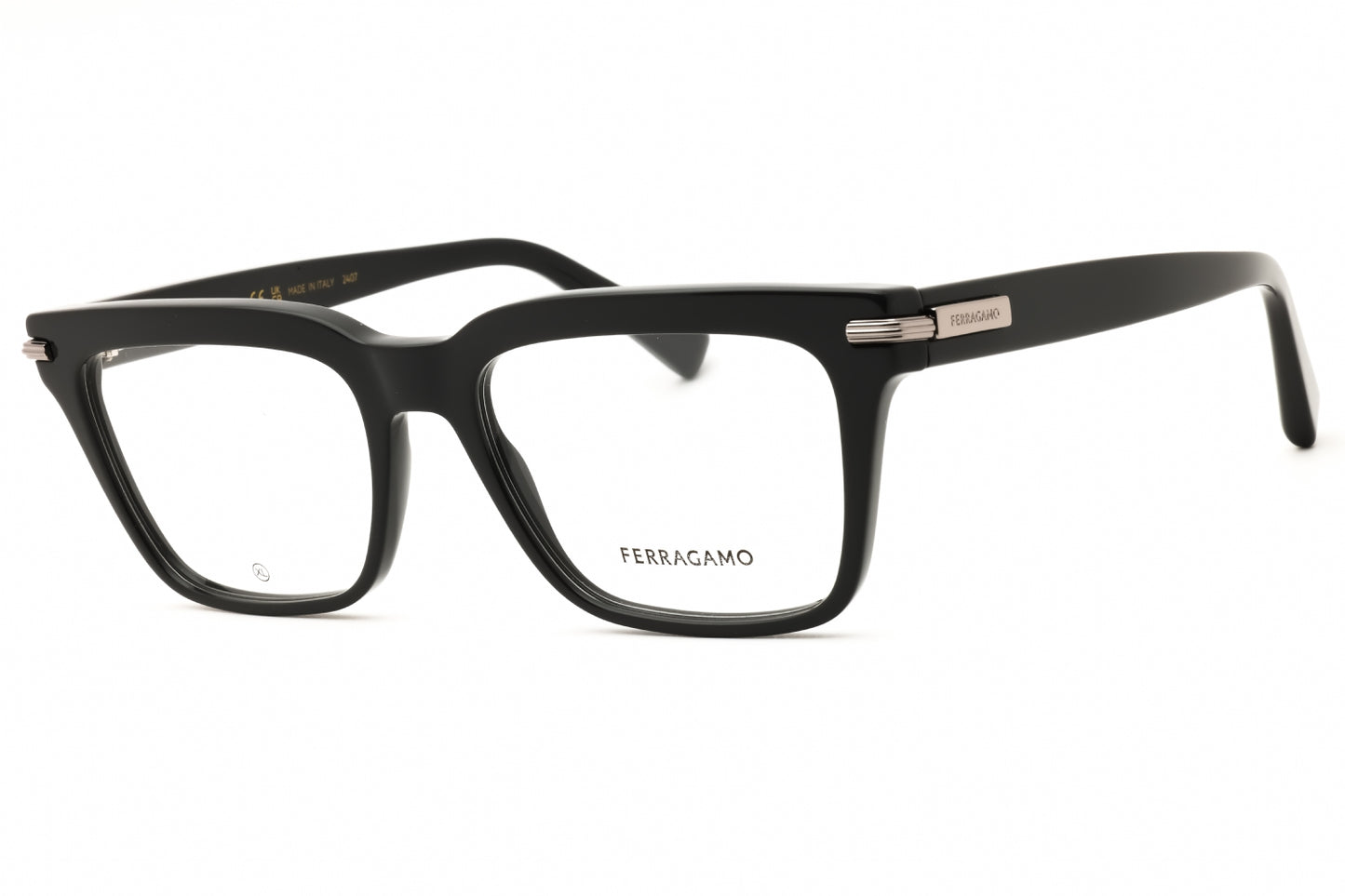 Salvatore Ferragamo SF3014-019 55mm
