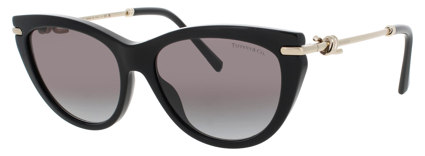 Tiffany & Co TF4253-80013C 55