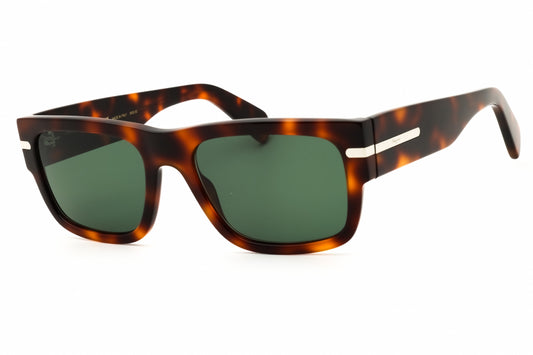 Salvatore Ferragamo SF1030SCP-214 54mm
