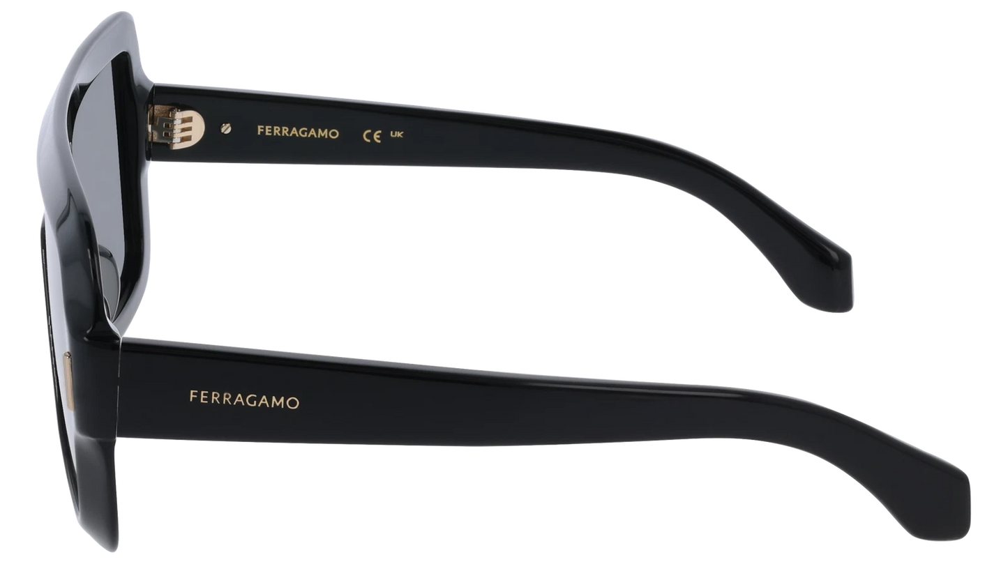 Salvatore Ferragamo SF2061SE-001-5520 55mm New Sunglasses