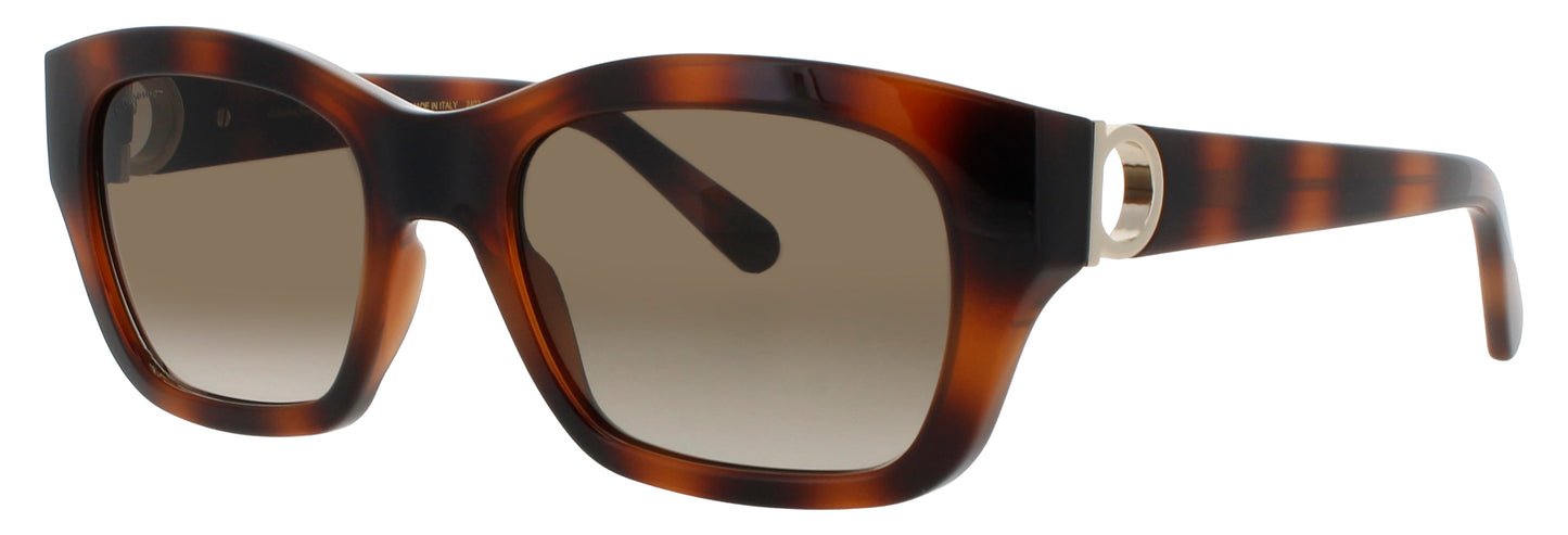 Salvatore Ferragamo SF1012S-214 53mm