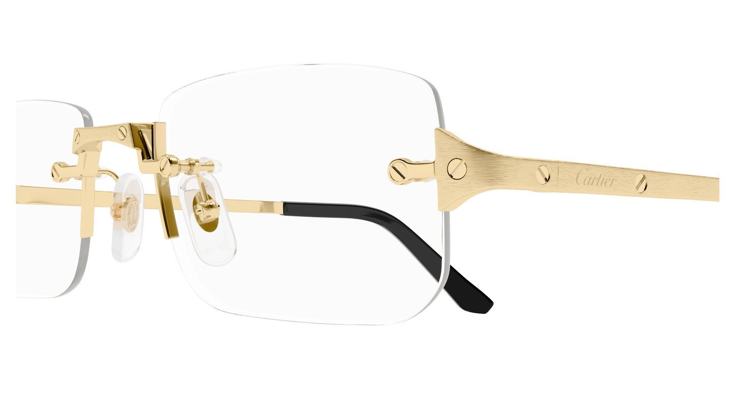 Cartier CT0479o-001 54mm