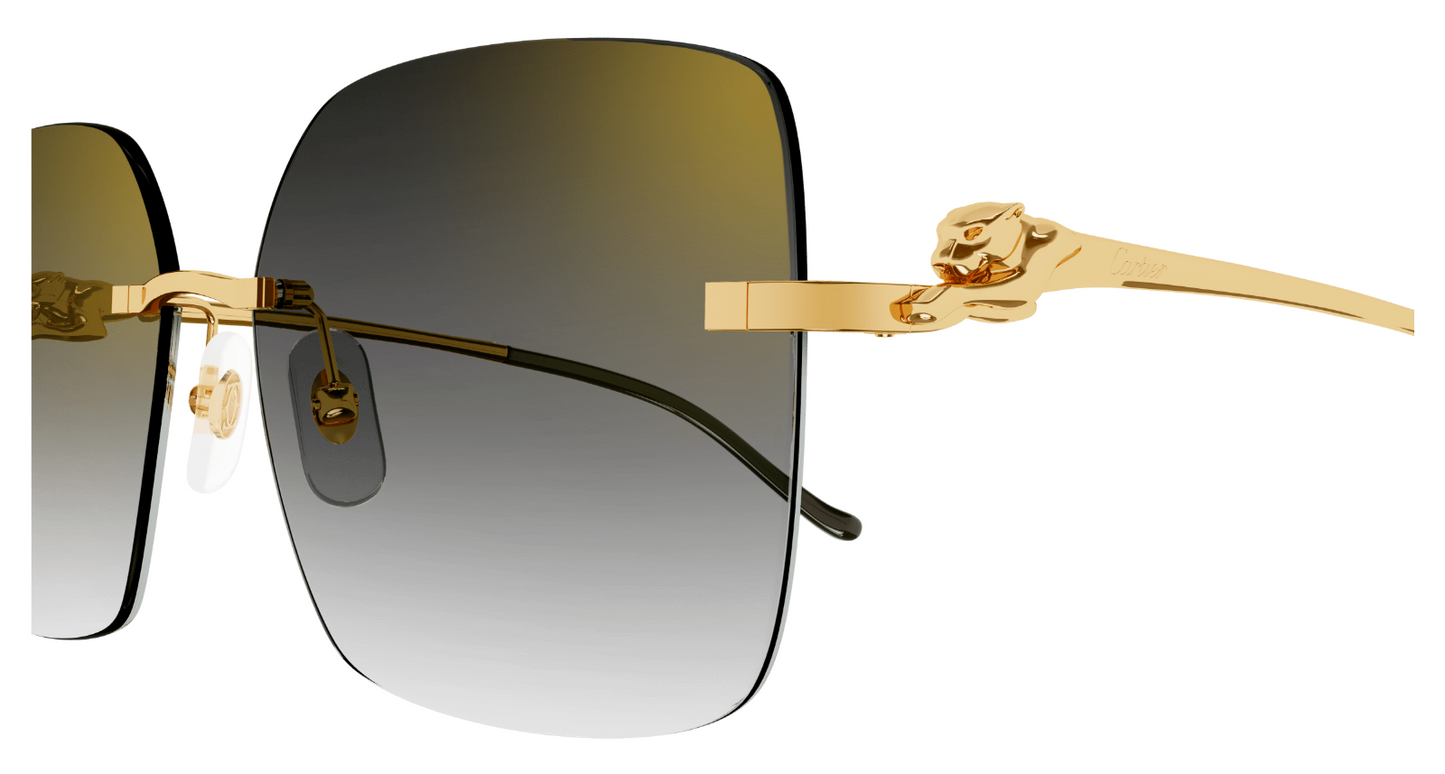 Cartier CT0359S-001 60mm