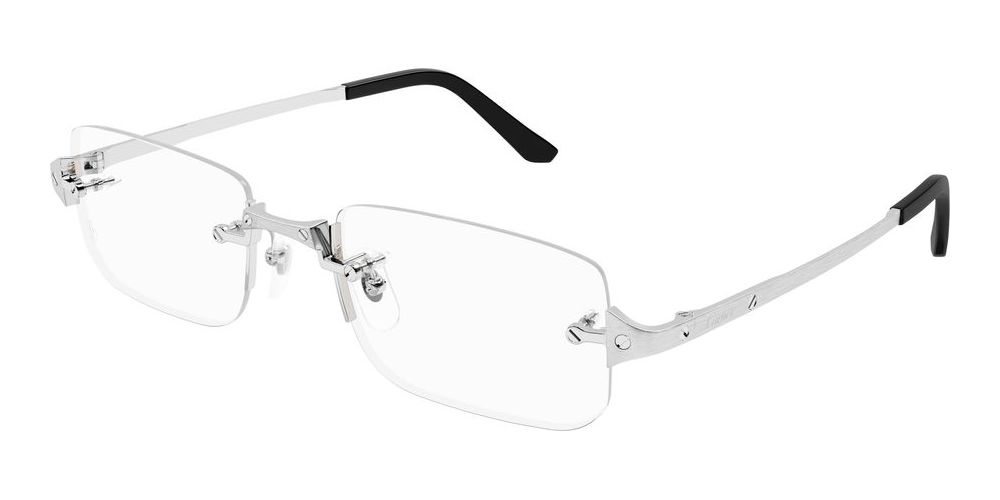 Cartier CT0479o-002 54mm