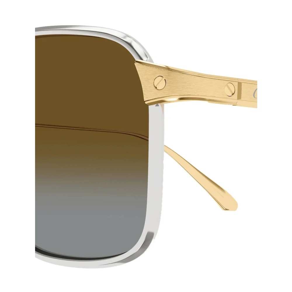 Cartier CT0610S-003 54mm