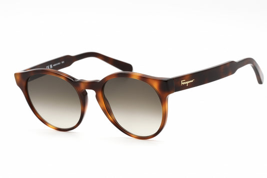 Salvatore Ferragamo SF1068S-240 52mm New Sunglasses