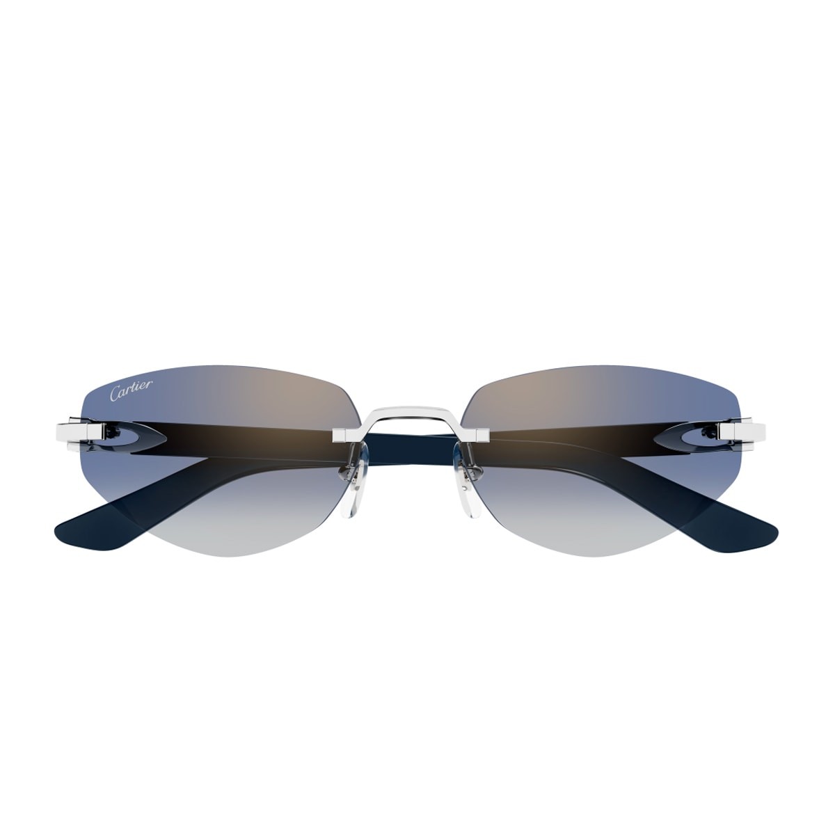 Cartier CT0580S-004 56mm New Sunglasses