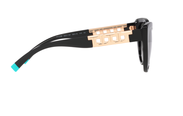 Tiffany 0TF4196-80013C 56mm New Sunglasses
