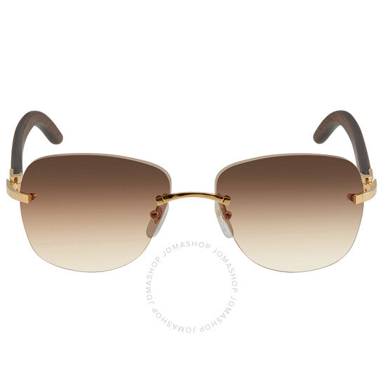 Cartier CT0016RS-001 58mm New Sunglasses