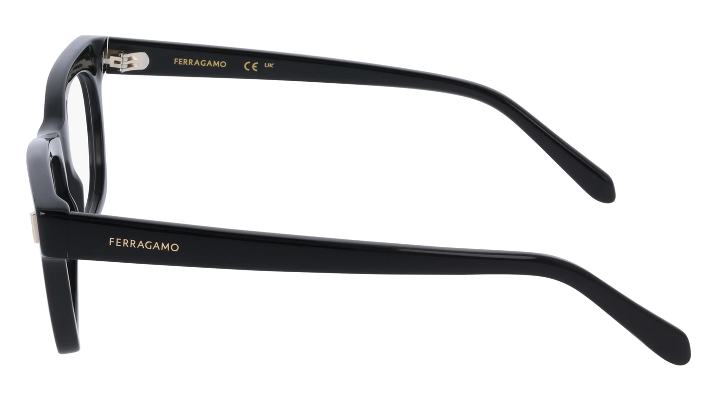 Salvatore Ferragamo SF3025-001-5117 51mm