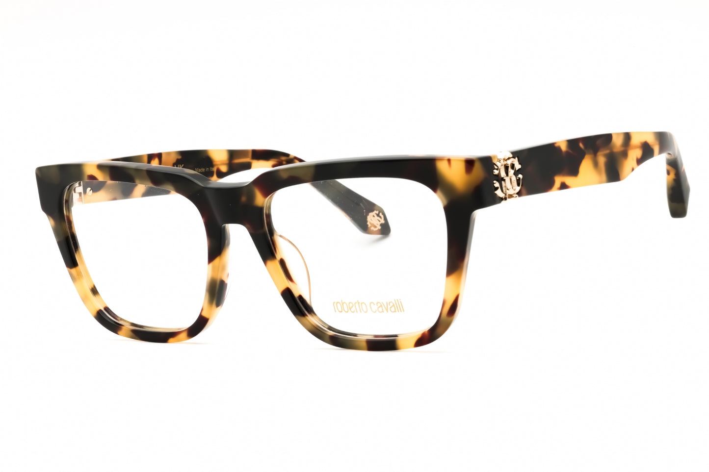 Roberto Cavalli VRC026M-0AGG 54
