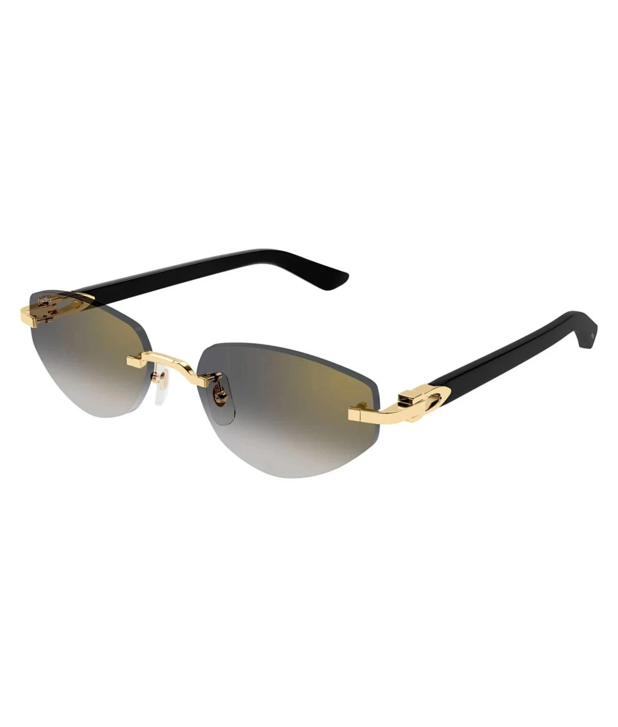 Cartier CT0580S-001 56mm