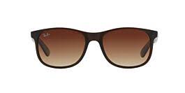 Ray Ban RB4202-6073-13-55  New Sunglasses