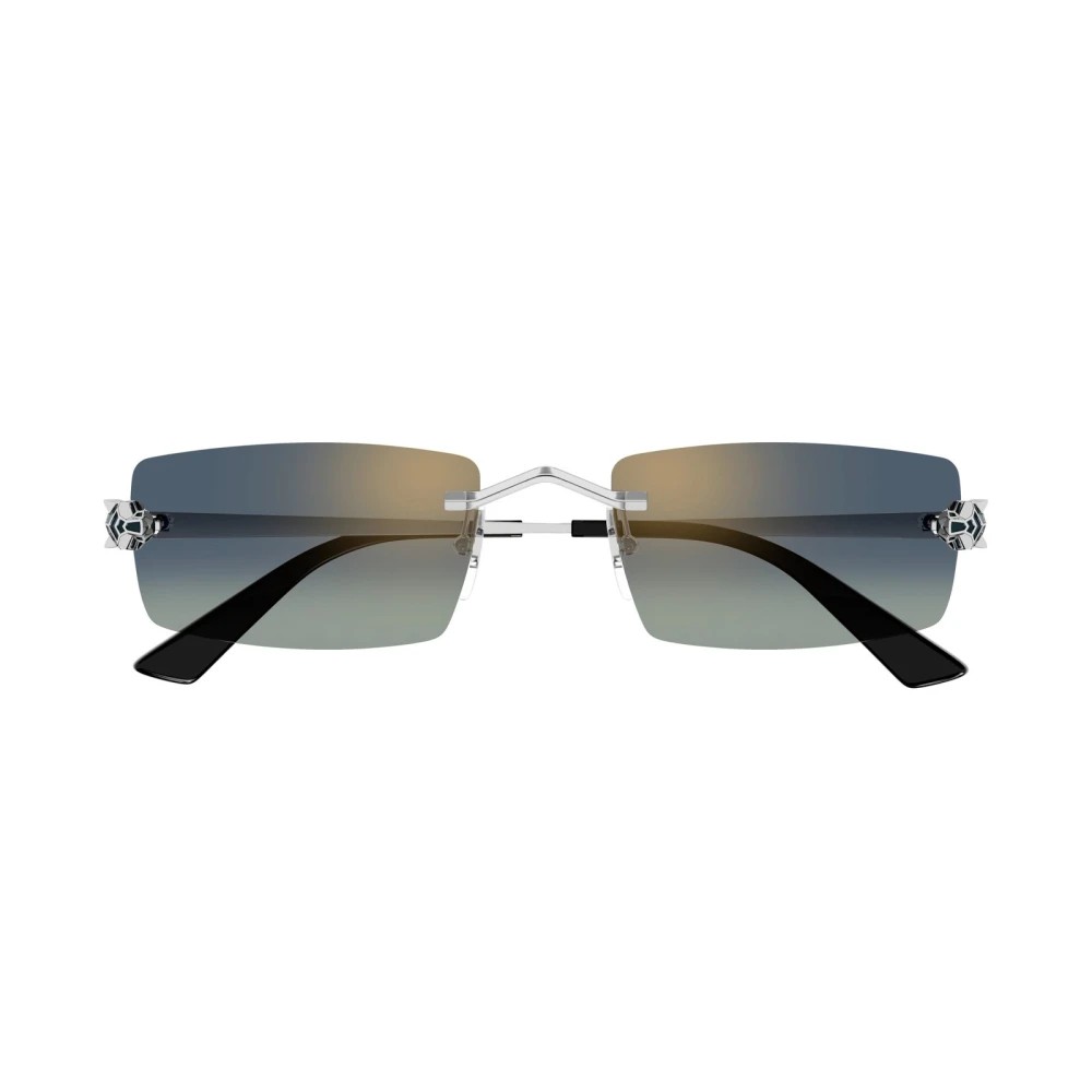 Cartier CT0598S-003 55mm