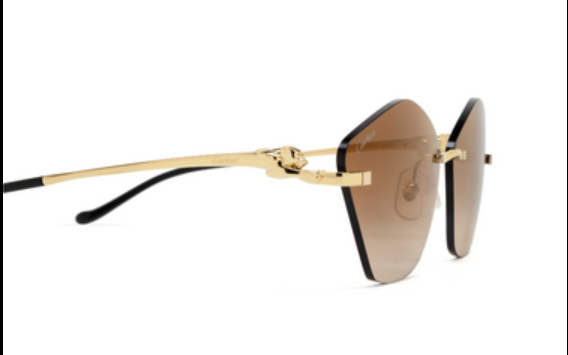 Cartier CT0429S-001 61mm New Sunglasses