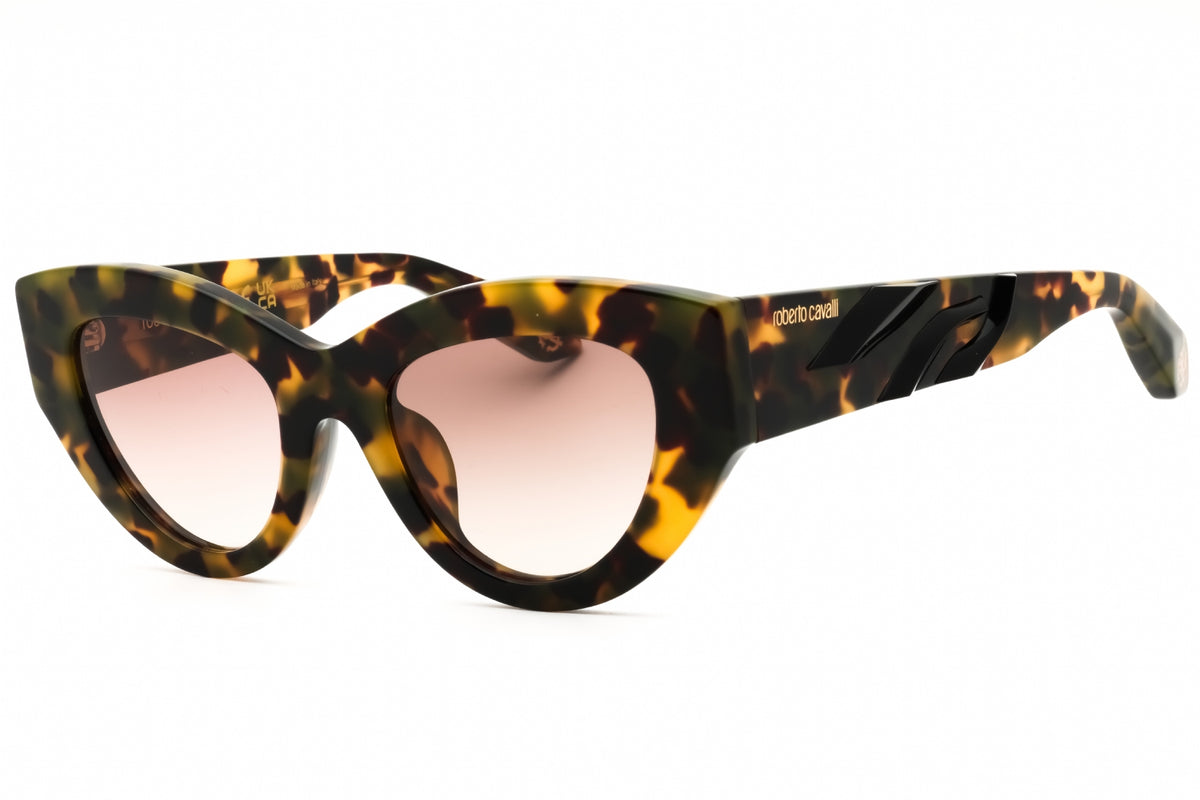 Roberto Cavalli SRC009M-0AGG 51