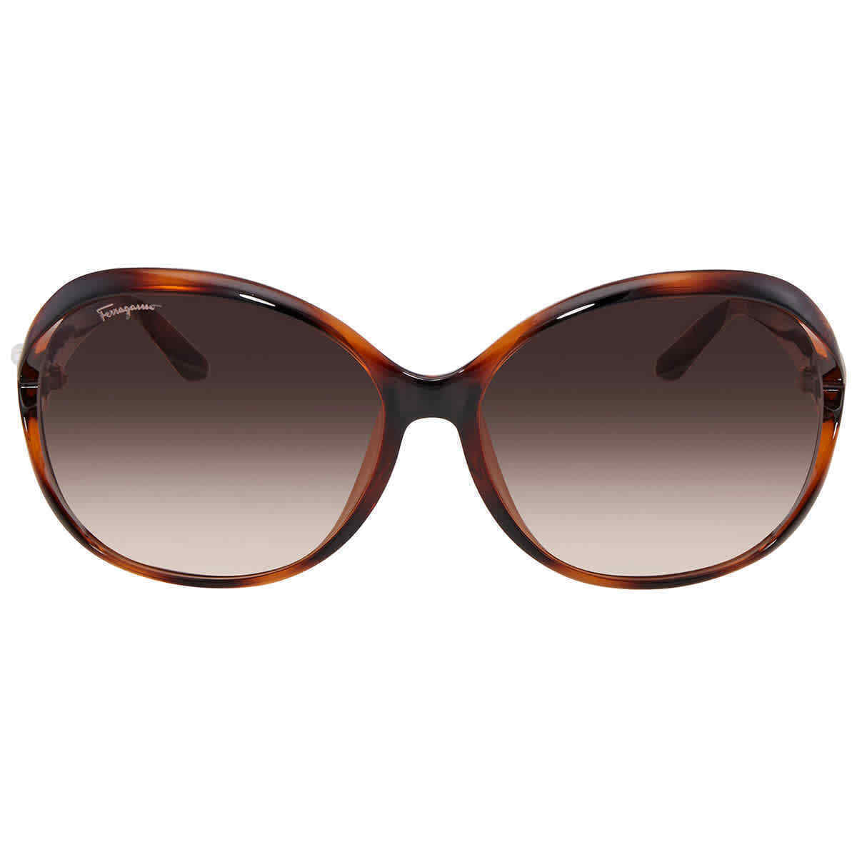 Salvatore Ferragamo SF770SA-214  New Sunglasses