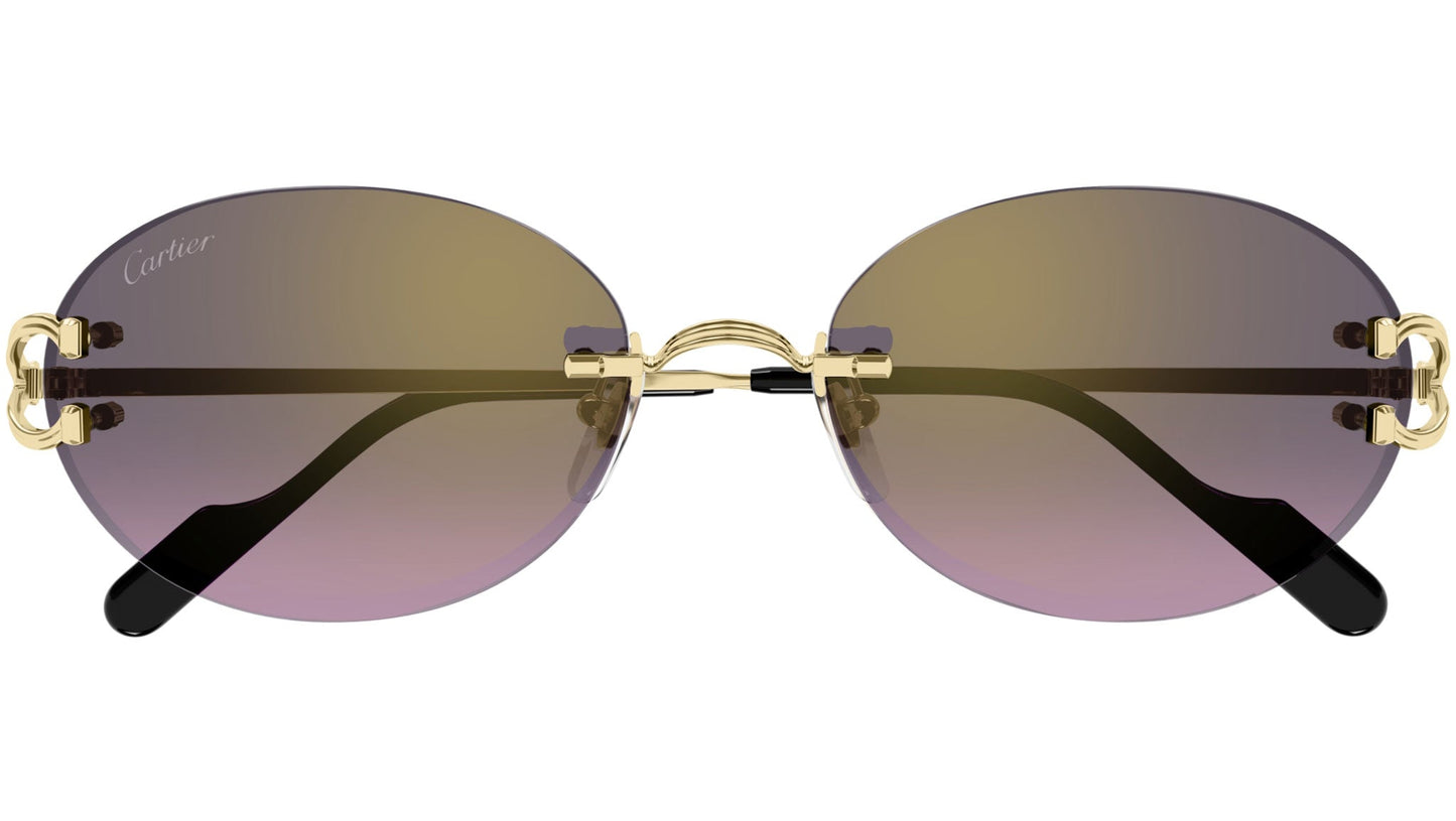 Cartier CT0551S-004 55mm New Sunglasses