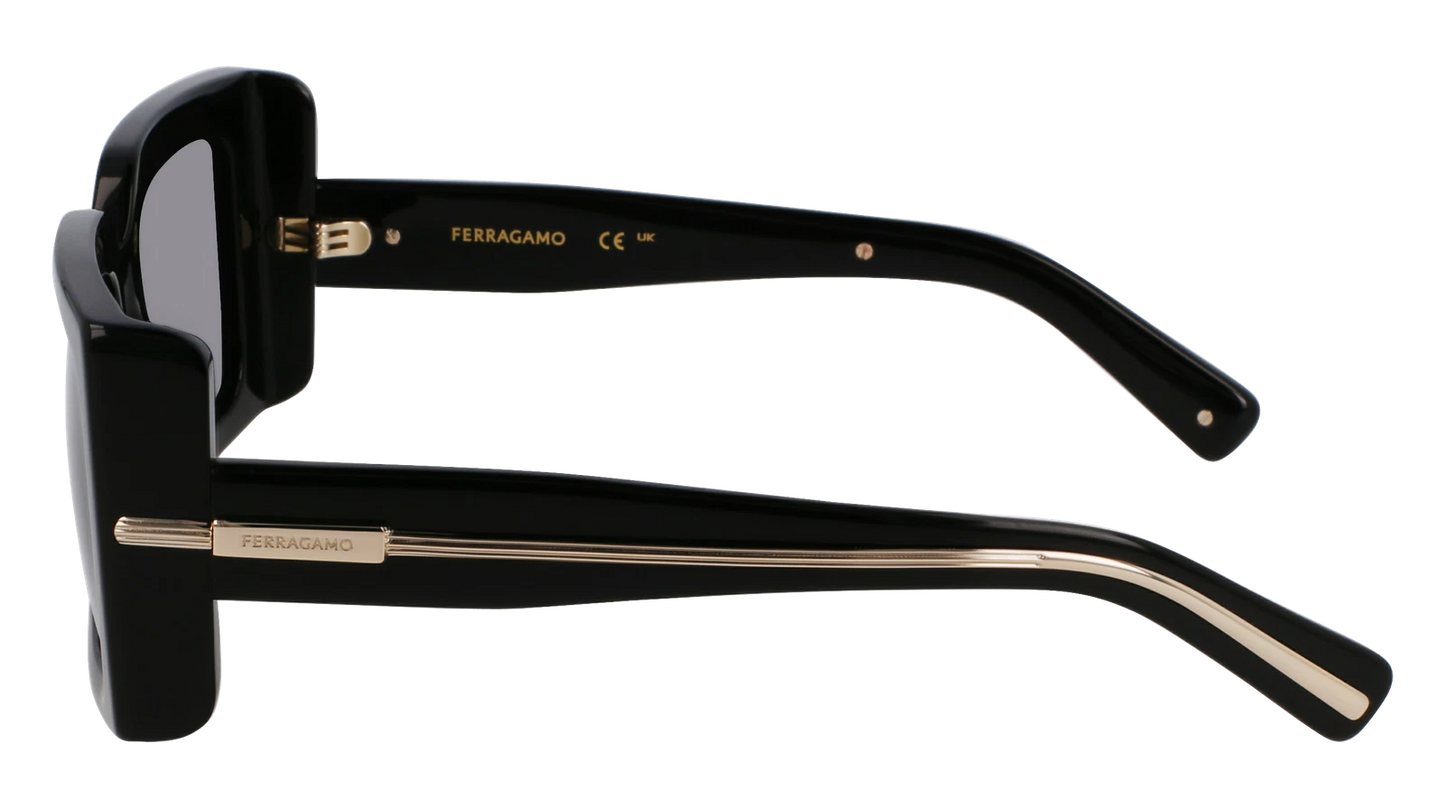 Salvatore Ferragamo SF2032S-001-5519 55mm New Sunglasses