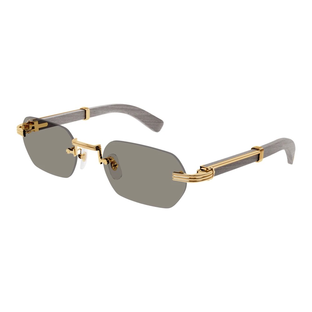 Cartier CT0362S-005 54mm