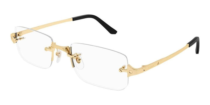 Cartier CT0479o-001 54mm
