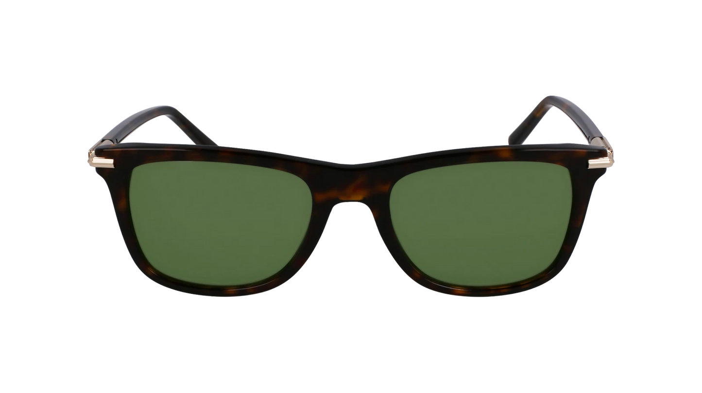 Salvatore Ferragamo SF2028S-242-5420 54mm New Sunglasses