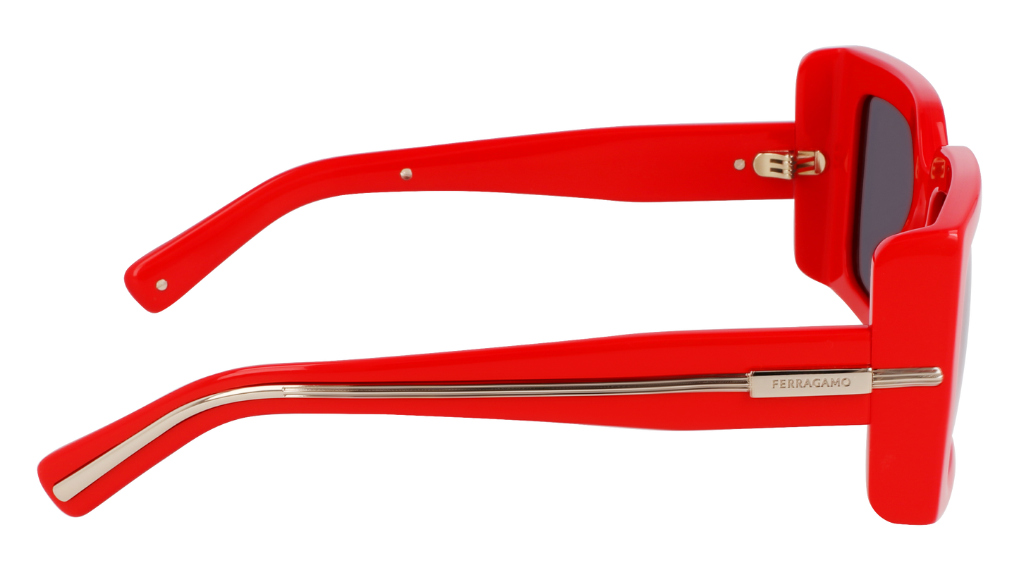 Salvatore Ferragamo SF2032S-600 55mm
