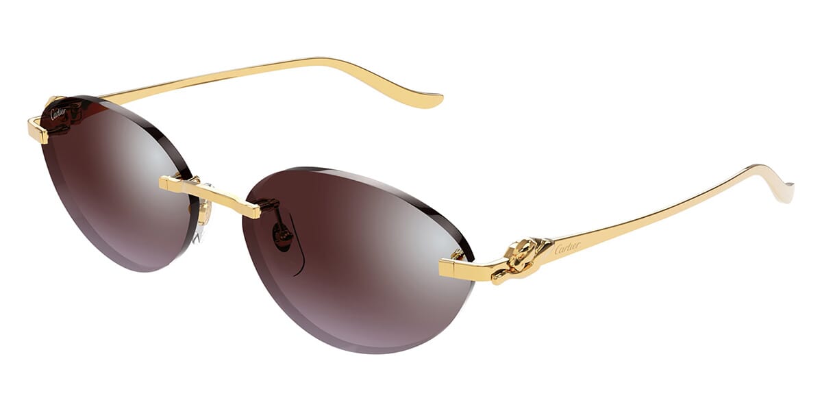 Cartier CT0504S-004 58mm New Sunglasses