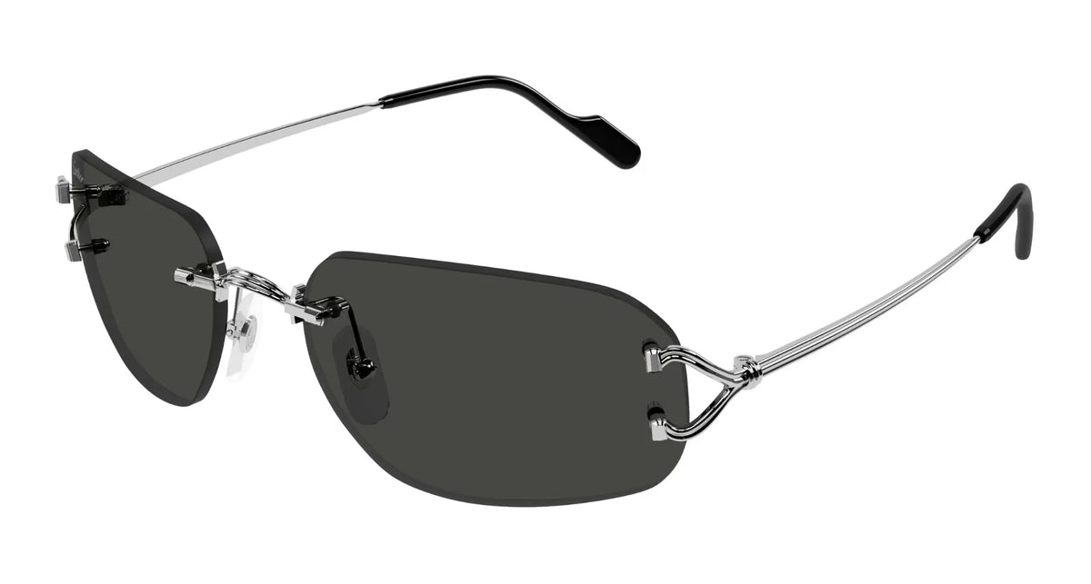 Cartier CT0663S-002 Silver Rectangular Sunglasses 58mm Sunglasses