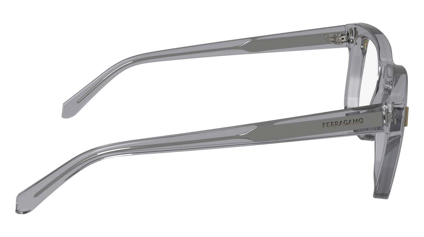 Salvatore Ferragamo SF2996-050-5120 51mm