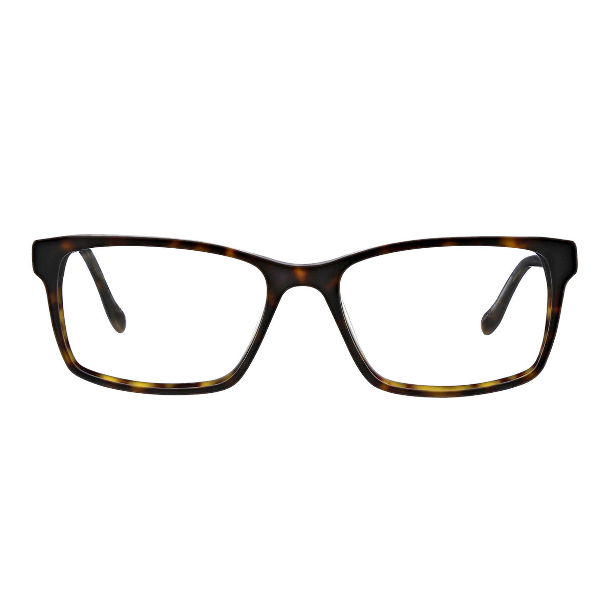 Badgley Mischka BM-STAMMOND-TORTOISE 54