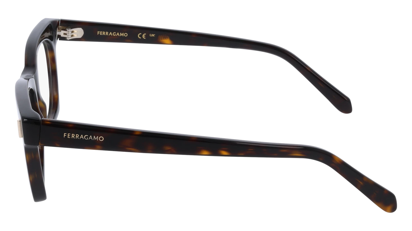 Salvatore Ferragamo SF3025-242-5117 51mm