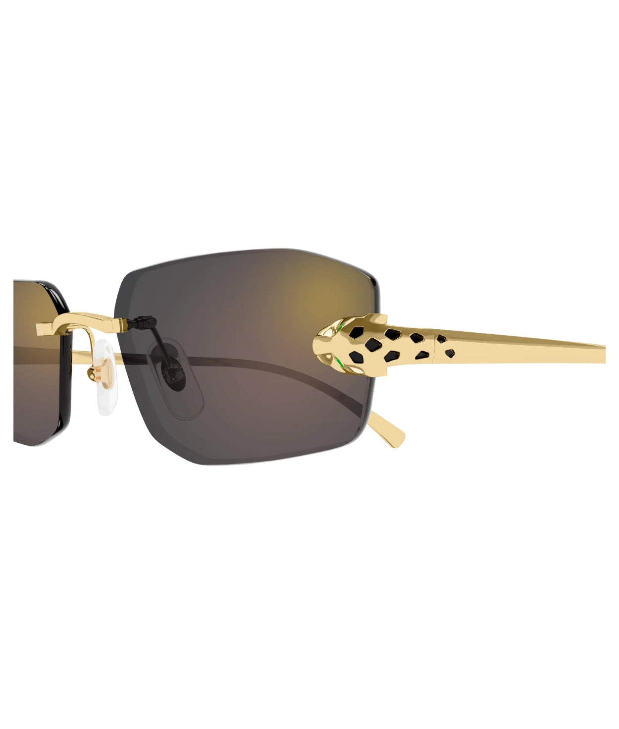 Cartier CT0474S-001 56
