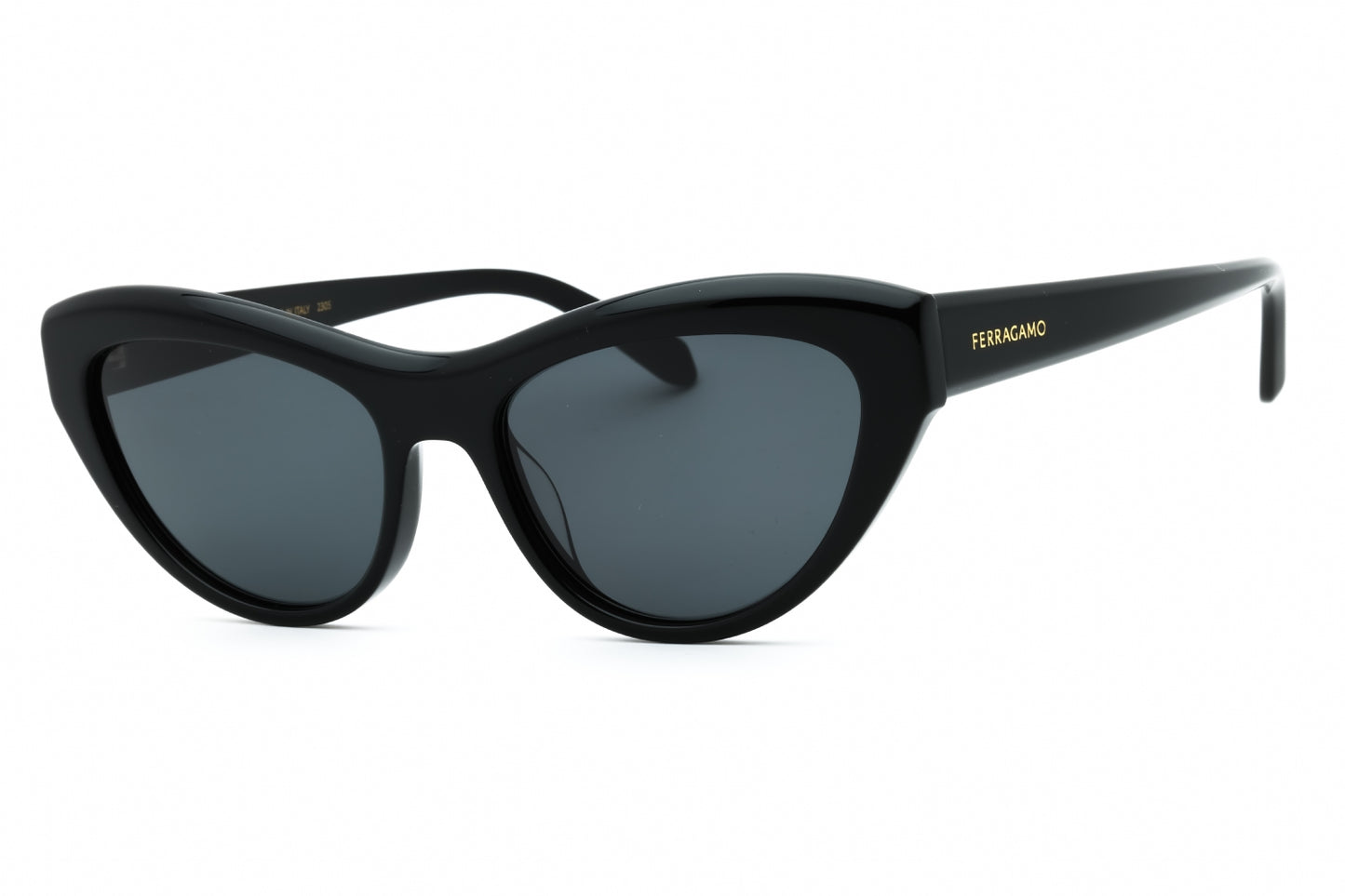 Salvatore Ferragamo SF1103S-001 55mm New Sunglasses