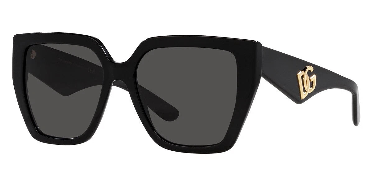 Dolce Gabbana 0DG4438-501-87-55 Black Round SUNGLASSES 0mm Sunglasses