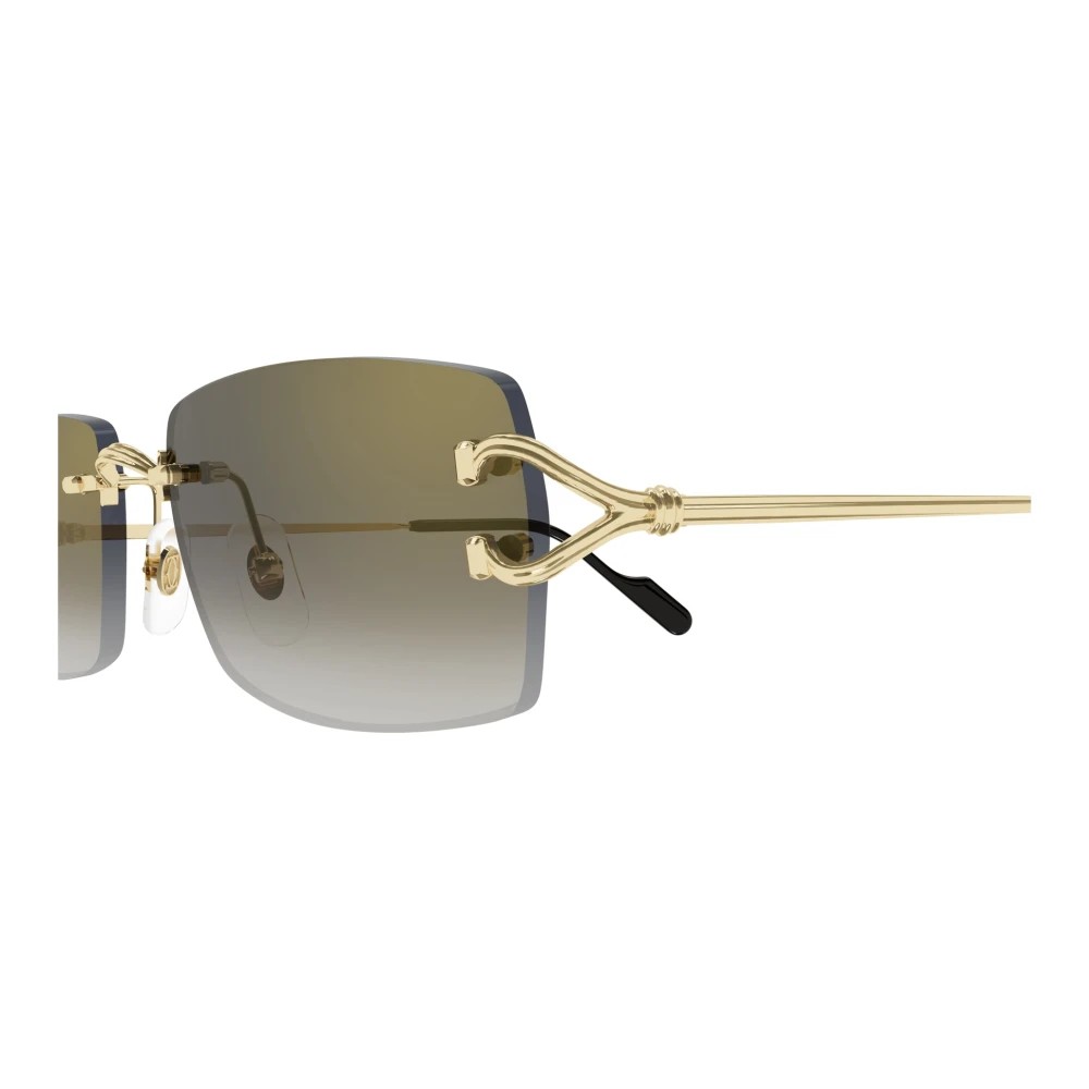 Cartier CT0550S-001 56mm