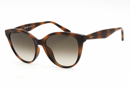 Salvatore Ferragamo SF1073S-240 54mm New Sunglasses