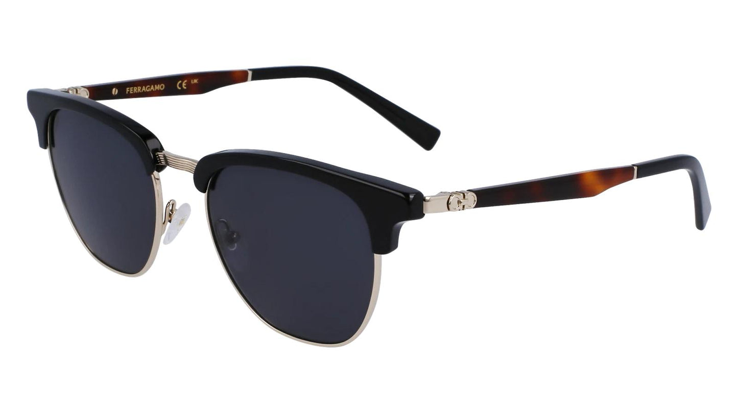 Salvatore Ferragamo SF307S-011-5320 53mm