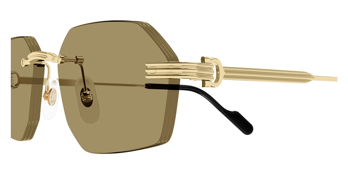 Cartier CT0616S-002 54mm