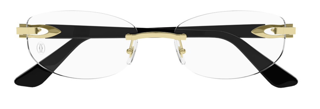 Cartier CT0318o-001 52mm