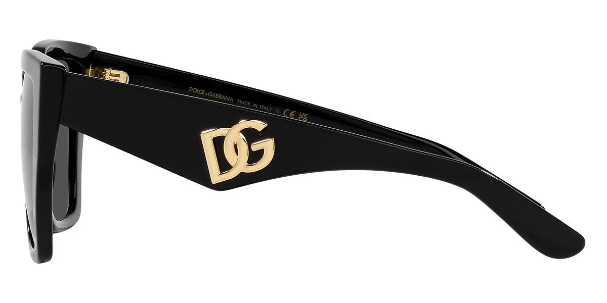 Dolce Gabbana 0DG4438-501-87-55 Black Round SUNGLASSES 0mm Sunglasses