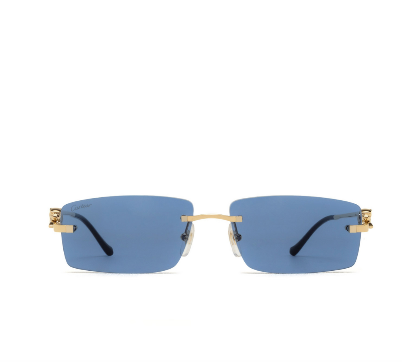 Cartier CT0430S-004 58mm
