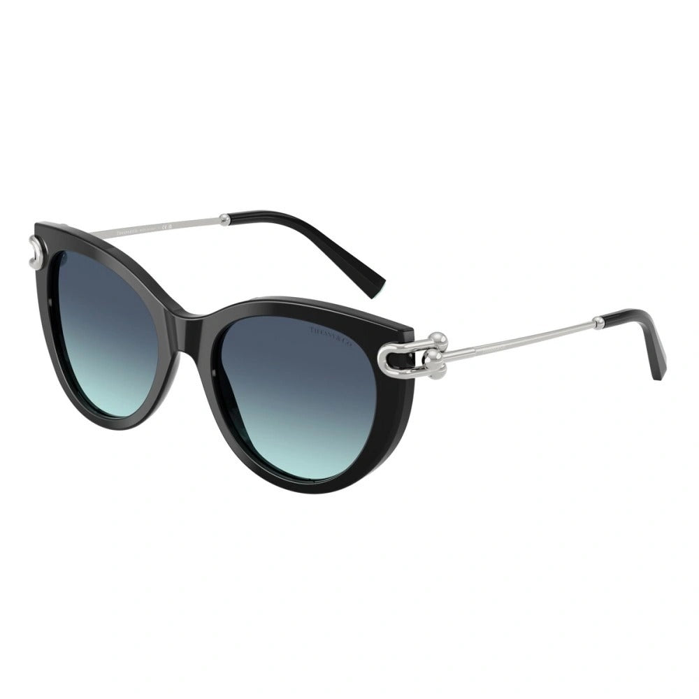 Tiffany & Co 0TF4232-80013C-53 53