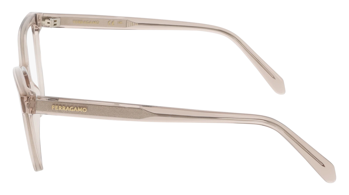Salvatore Ferragamo SF3062-260-5416 54mm