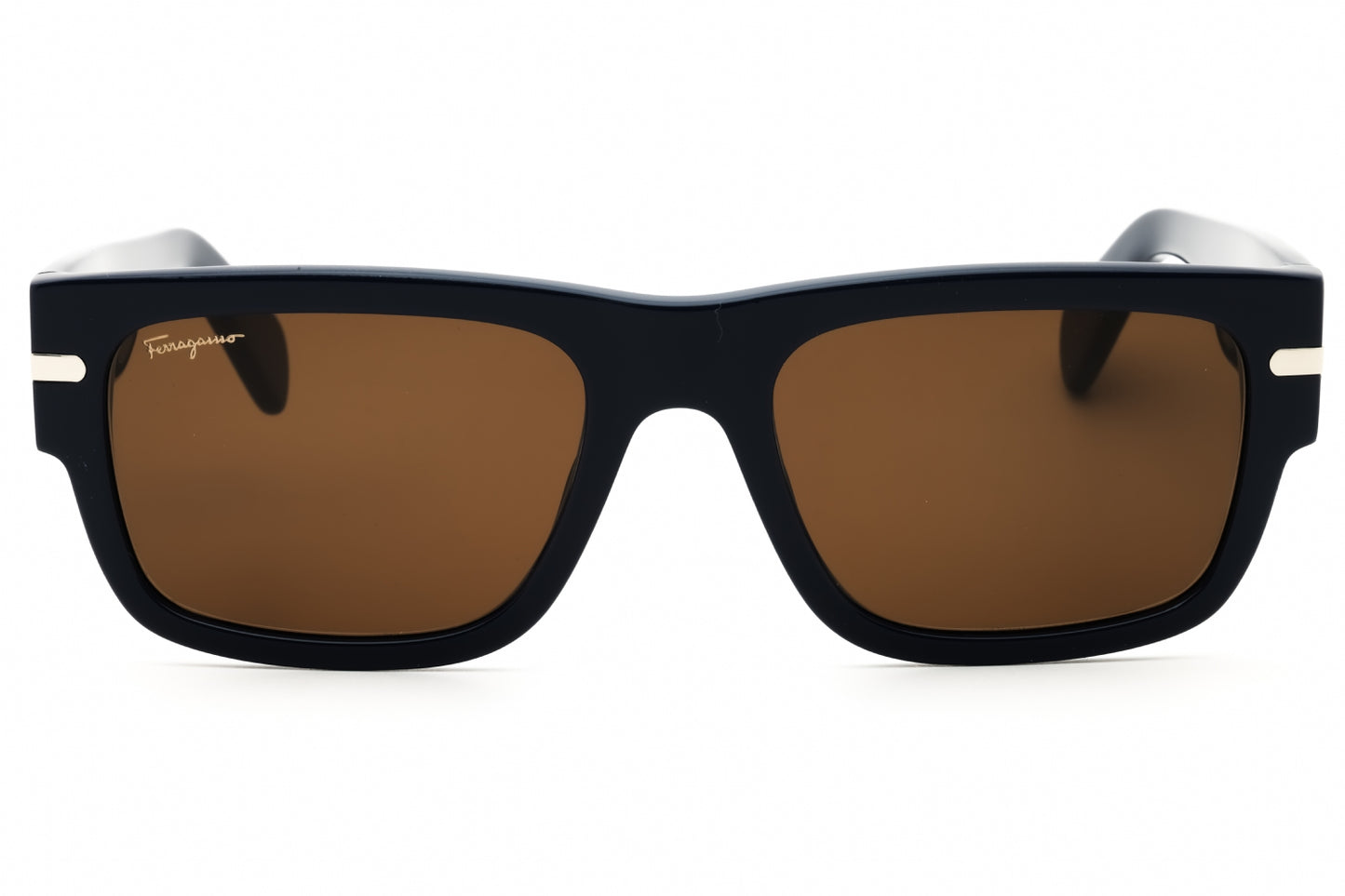 Salvatore Ferragamo SF1030SCP-414 54mm