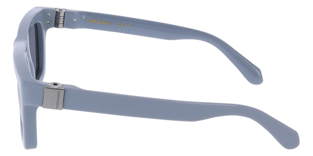 Salvatore Ferragamo SF2071S-452-5420 54mm New Sunglasses
