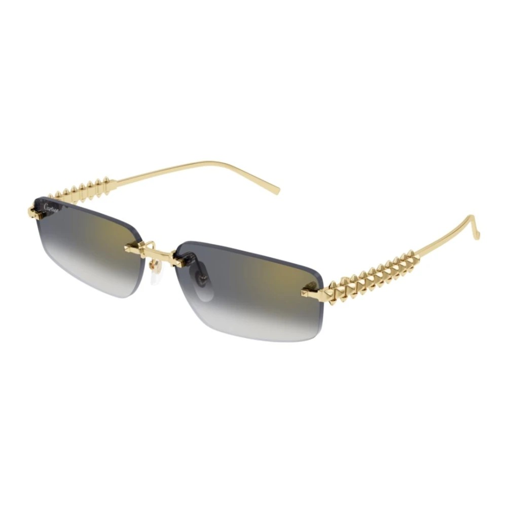 Cartier CT0544S-001 58mm