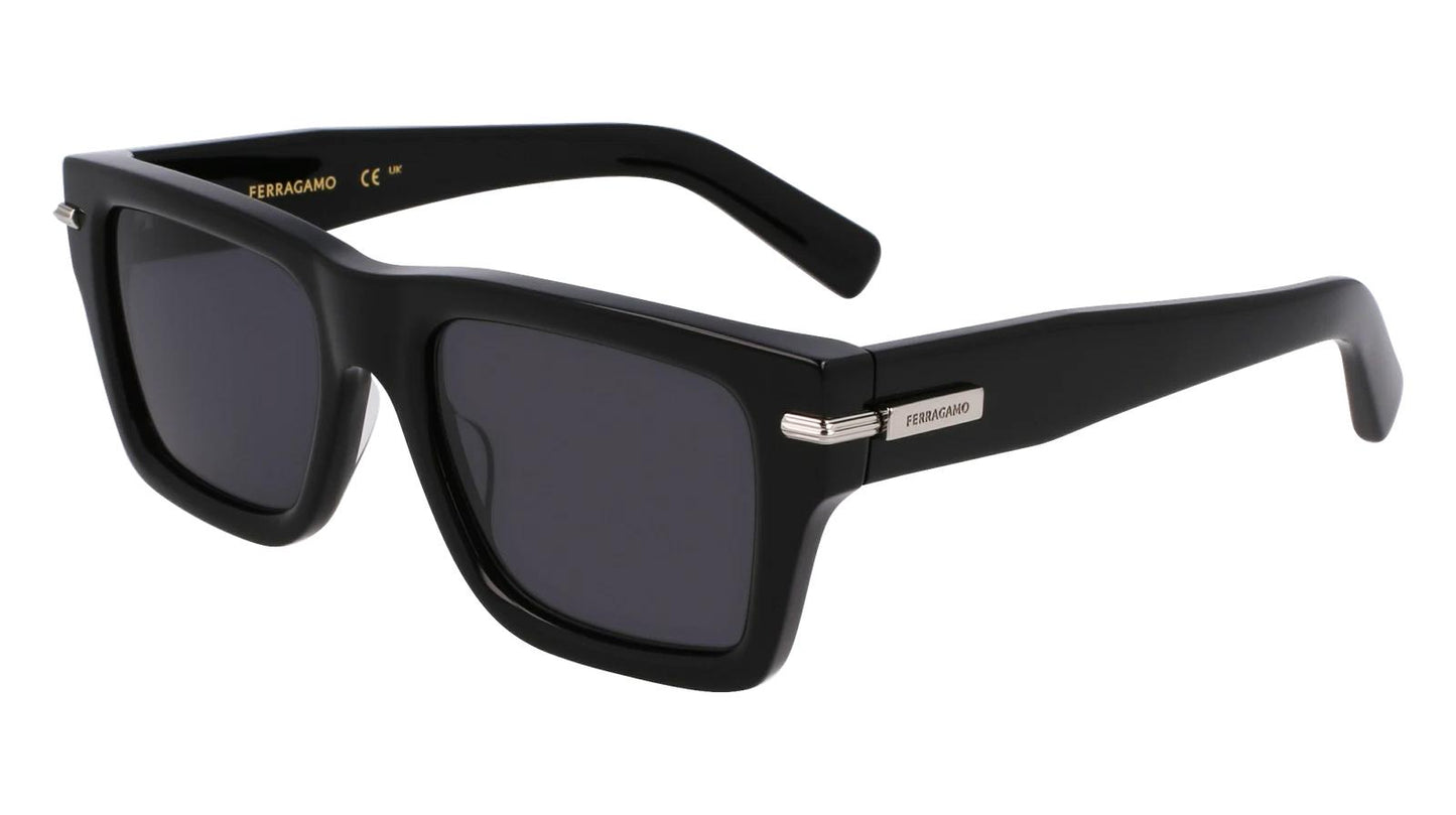 Salvatore Ferragamo SF2033S-001-5320 53mm New Sunglasses